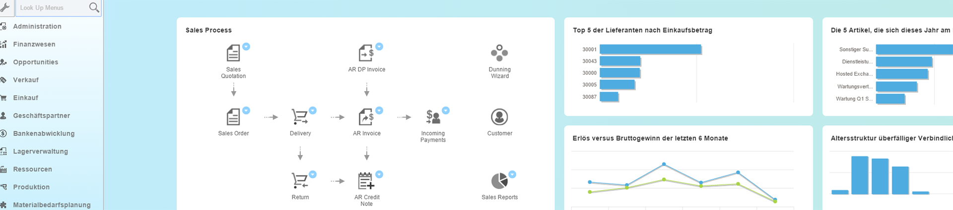 SAP Business One